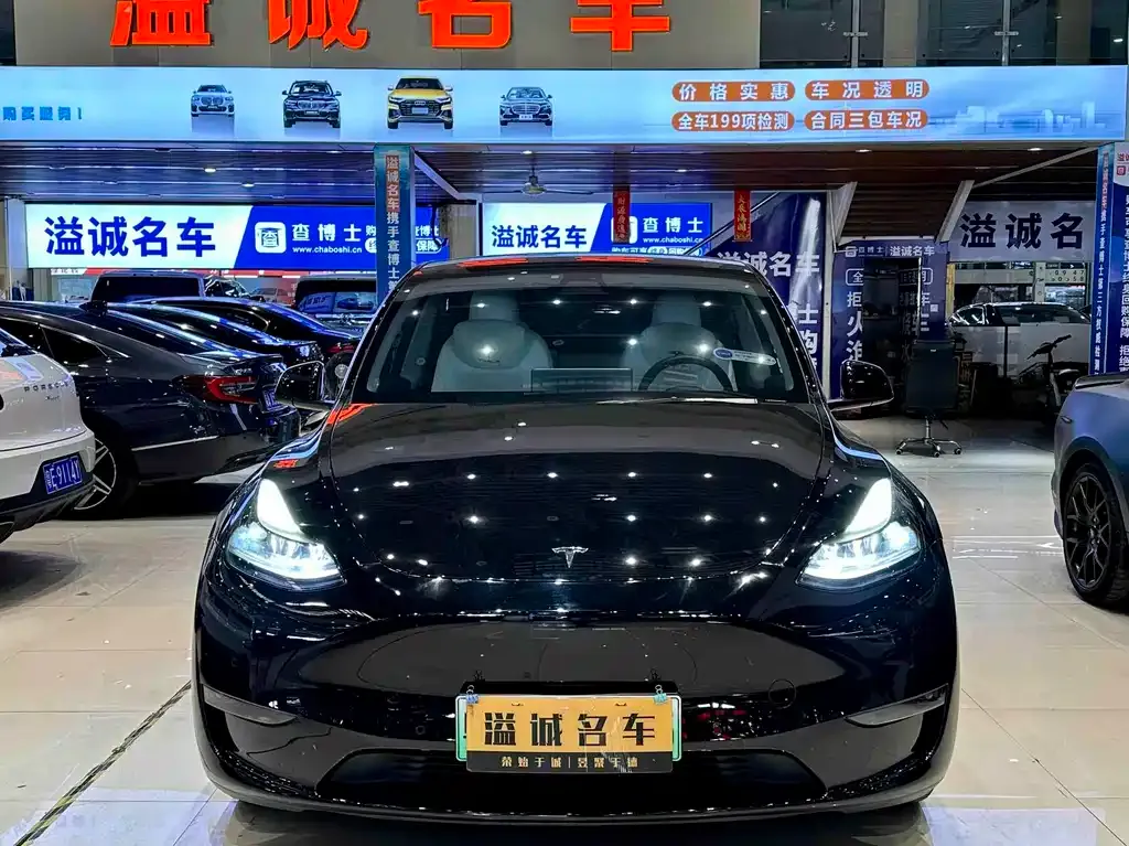 Tesla Model Y — фото 10