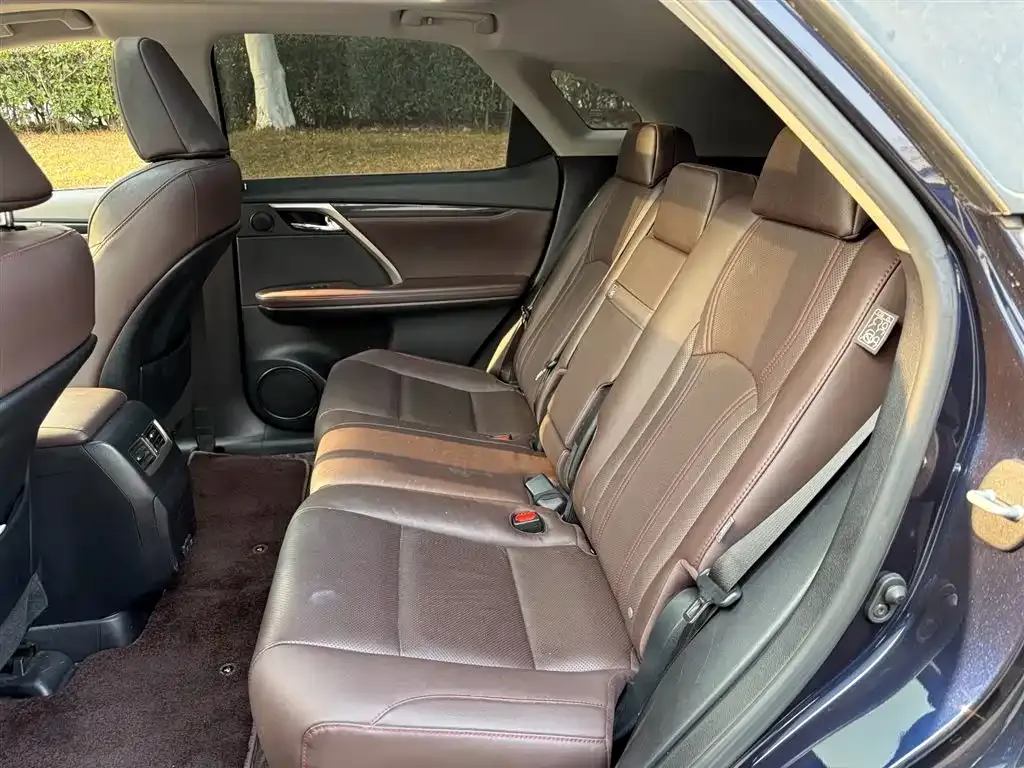 Lexus RX — фото 9