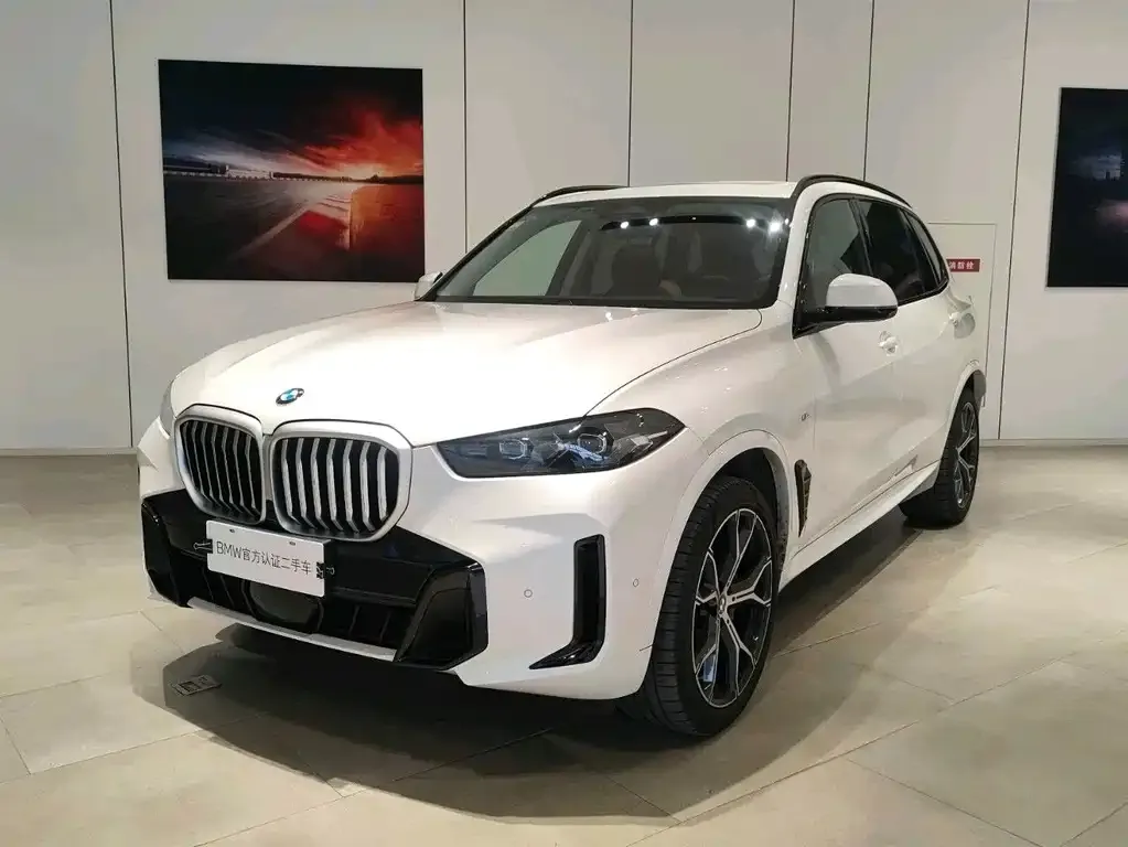 BMW X5 — фото 1