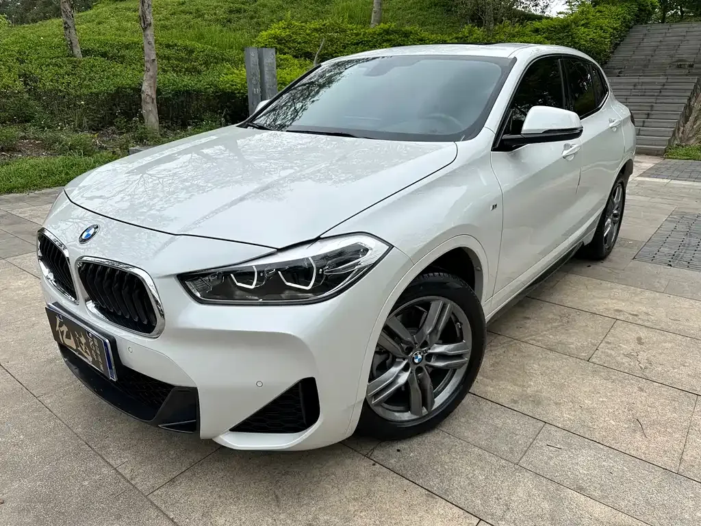 BMW X2 — фото 1