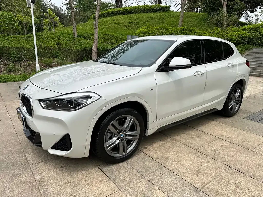 BMW X2 — фото 10
