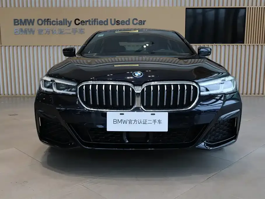 BMW 5 Series New Energy — фото 8