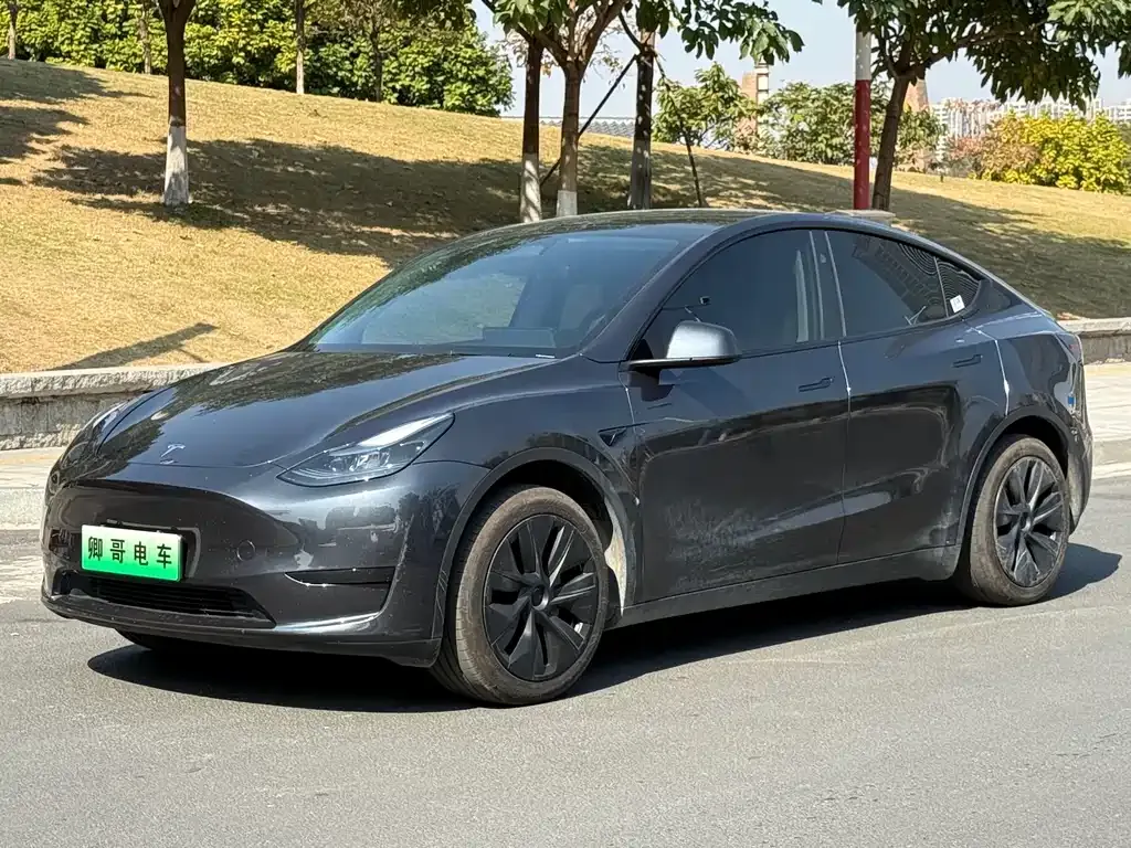 Tesla Model Y — фото 1