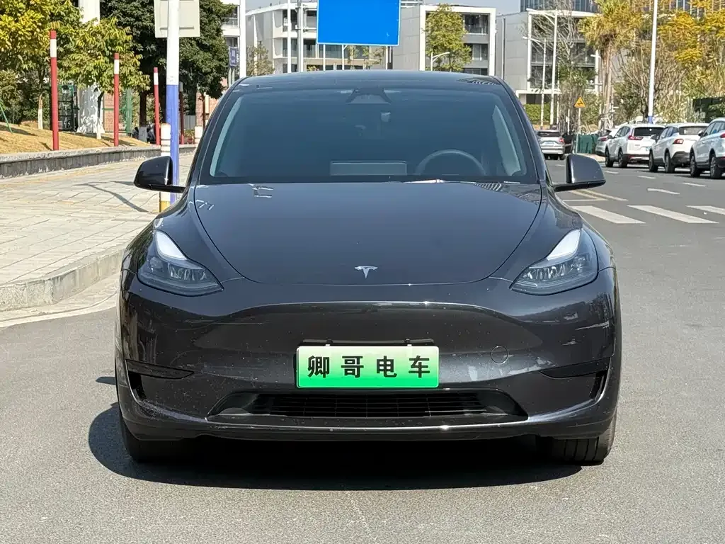 Tesla Model Y — фото 6