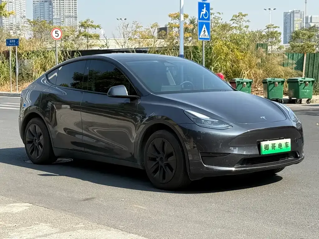 Tesla Model Y — фото 10