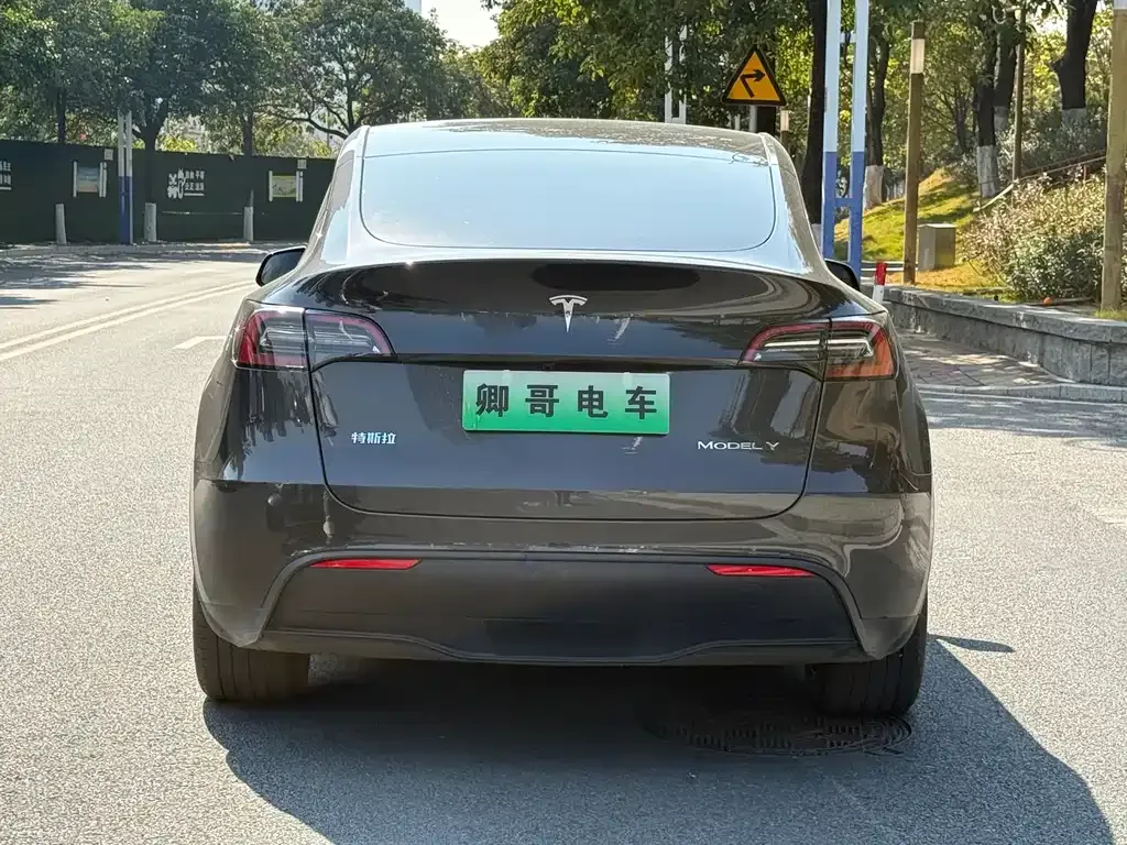 Tesla Model Y — фото 8
