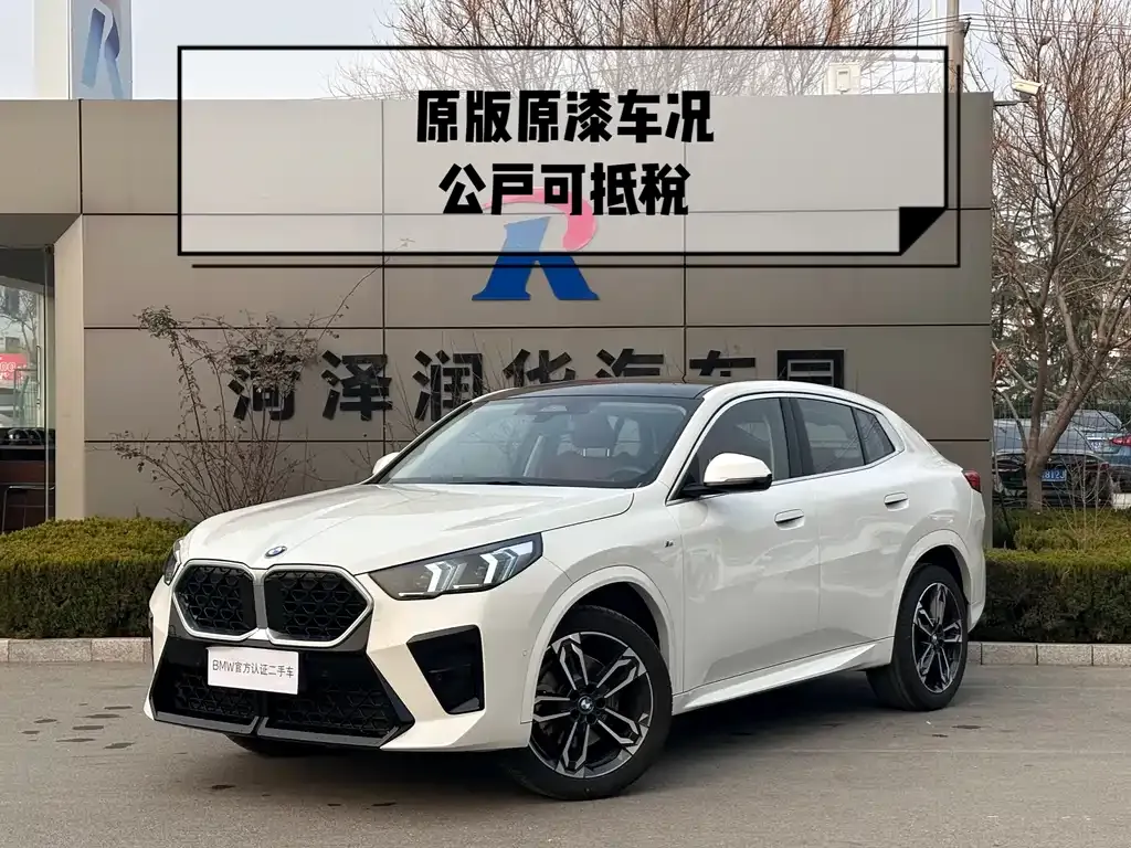 BMW X2 (Import) — фото 1