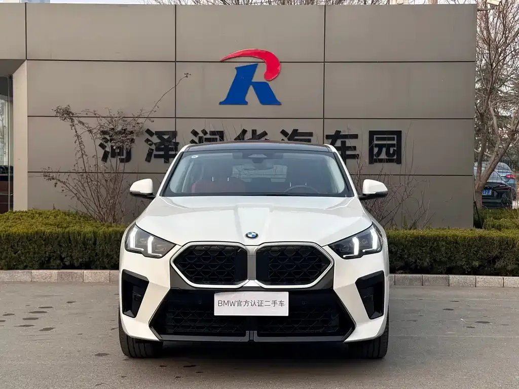 BMW X2 (Import) — фото 8