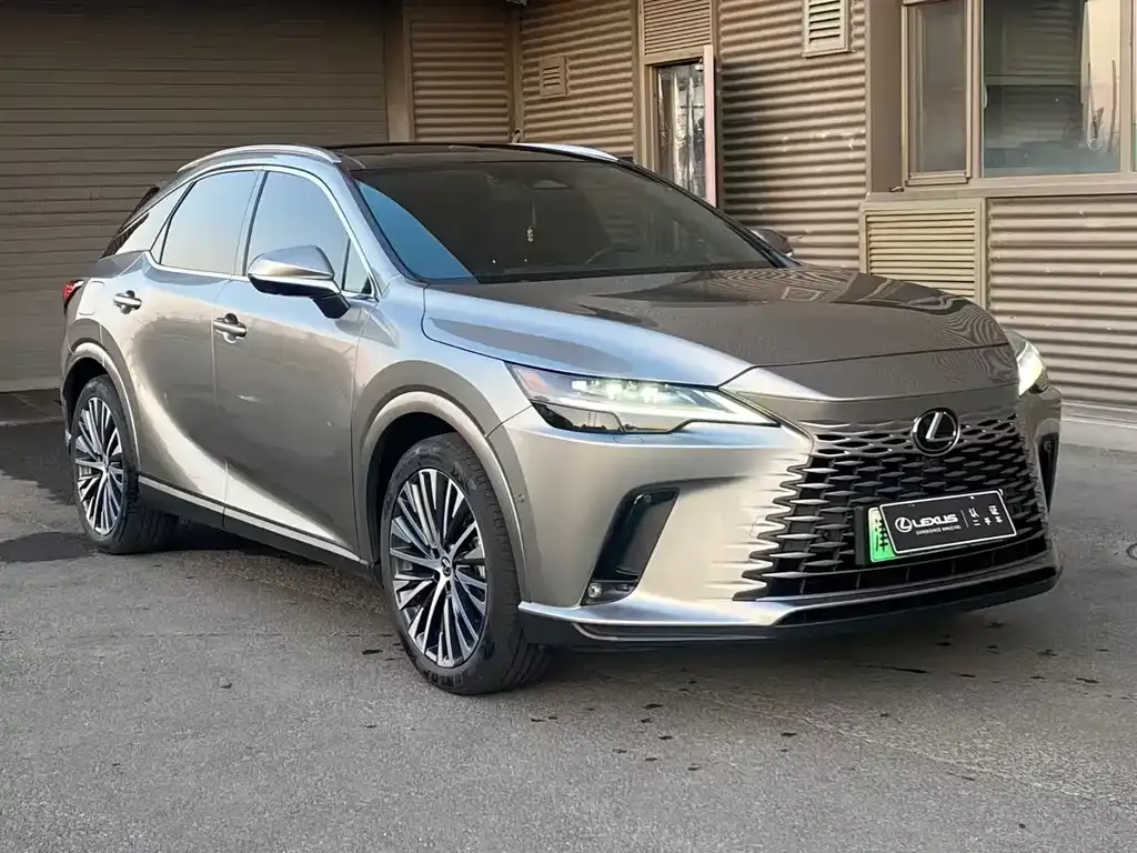 Lexus RX New Energy — фото 9