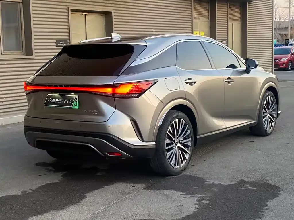 Lexus RX New Energy — фото 7