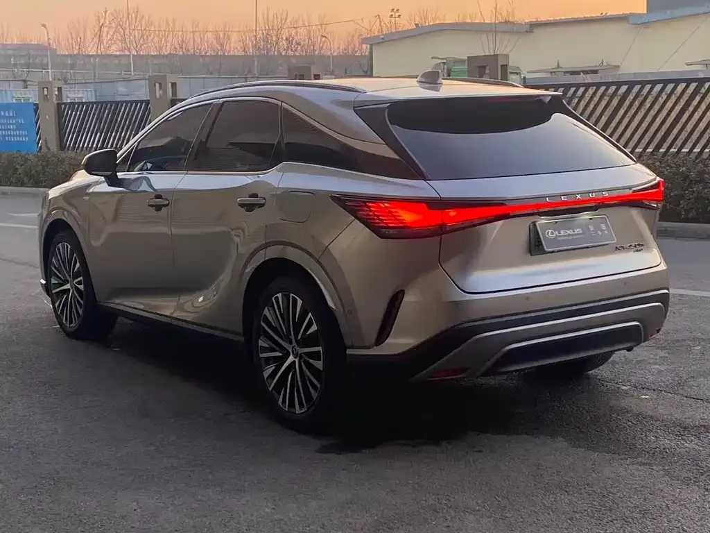 Lexus RX New Energy — фото 8