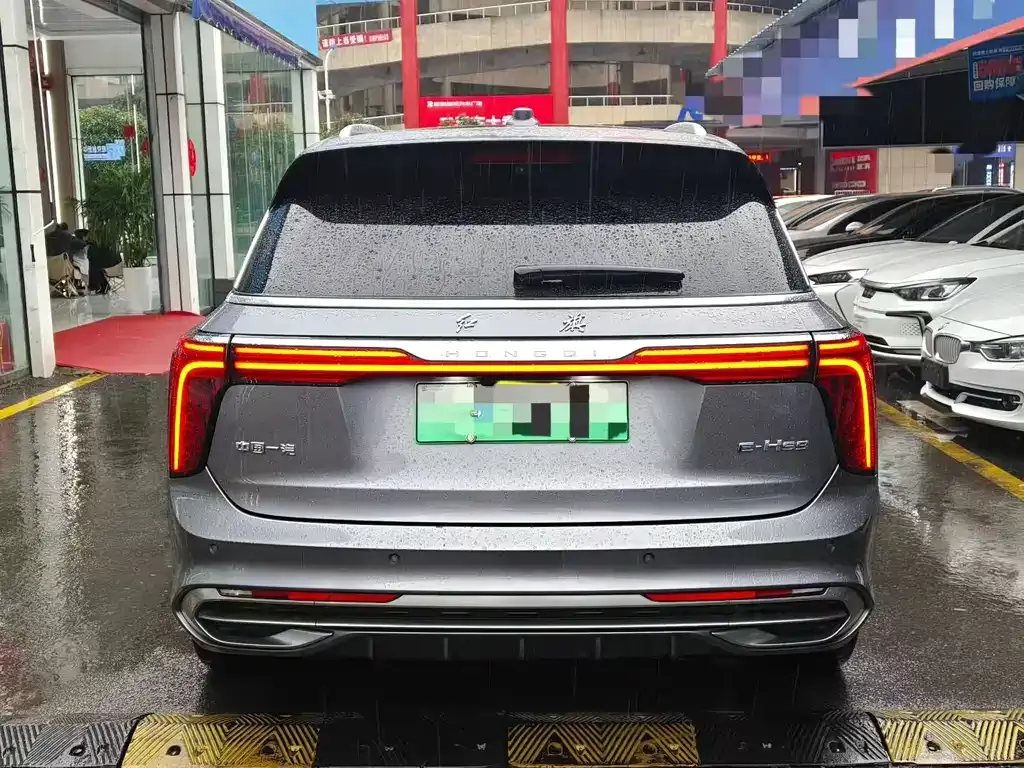 Hongqi E-HS9 — фото 5