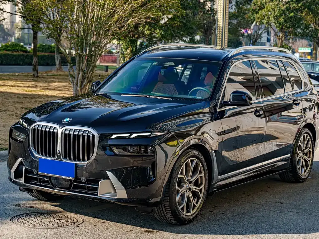 BMW X7 — фото 1