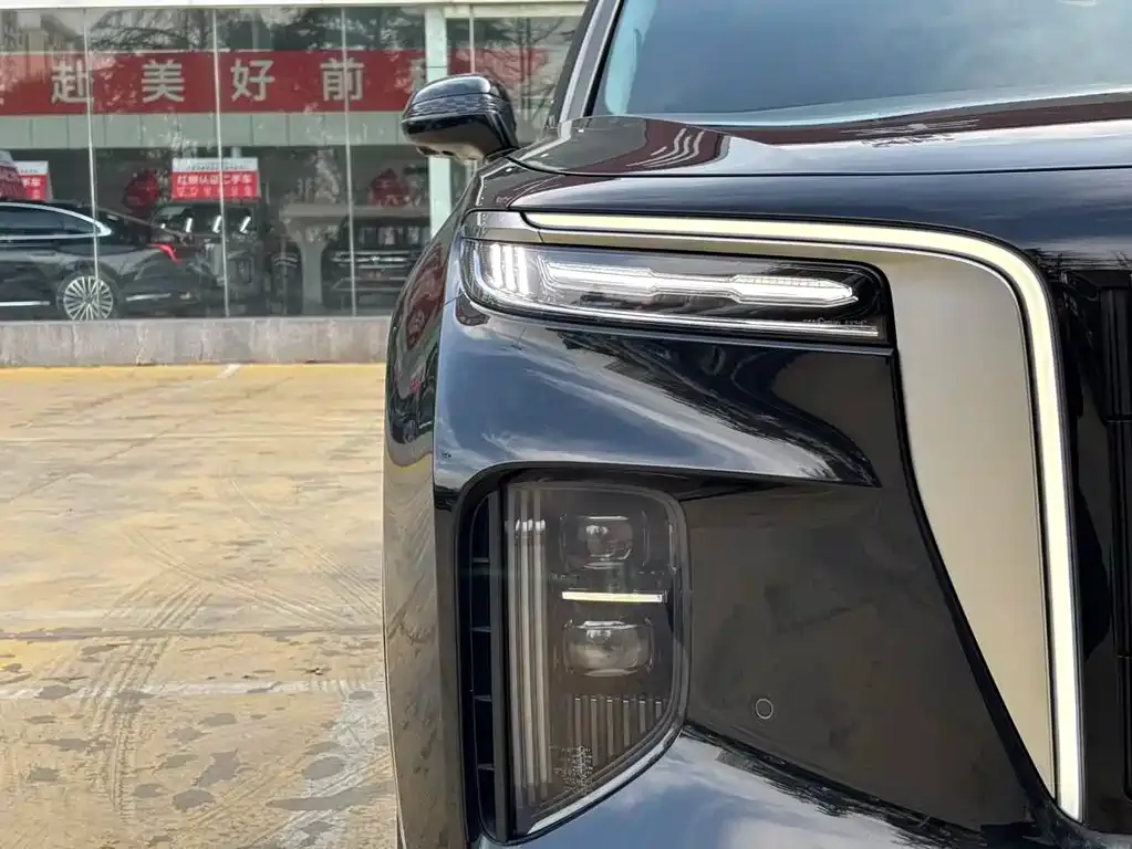 Hongqi E-HS9 — фото 5
