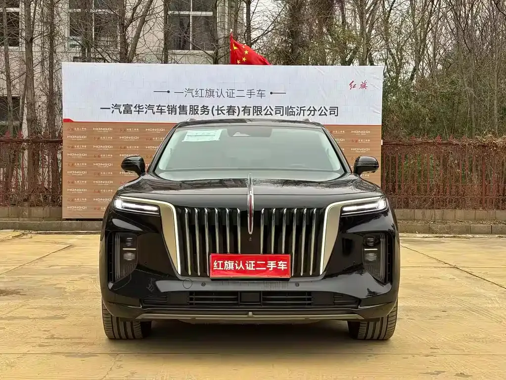 Hongqi E-HS9 — фото 2