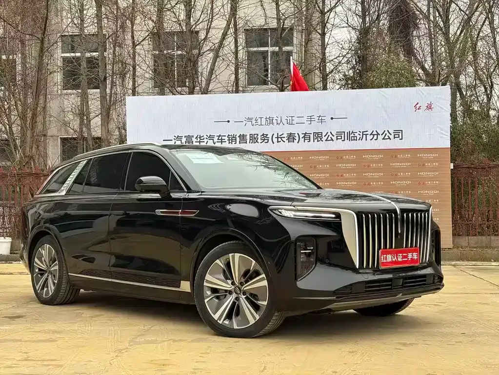 Hongqi E-HS9 — фото 10