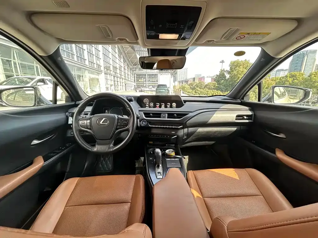 Lexus UX New Energy — фото 5
