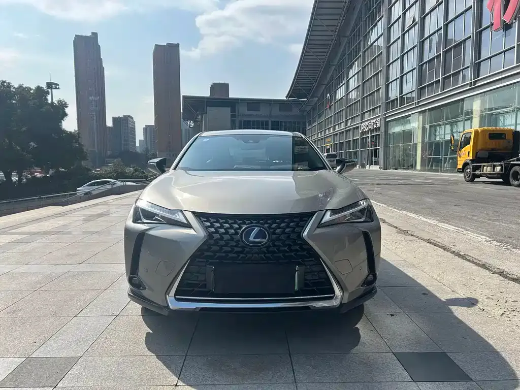 Lexus UX New Energy — фото 4