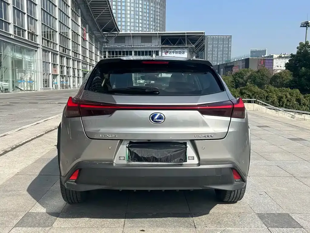 Lexus UX New Energy — фото 6