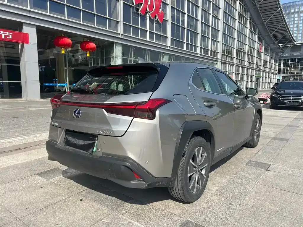 Lexus UX New Energy — фото 10