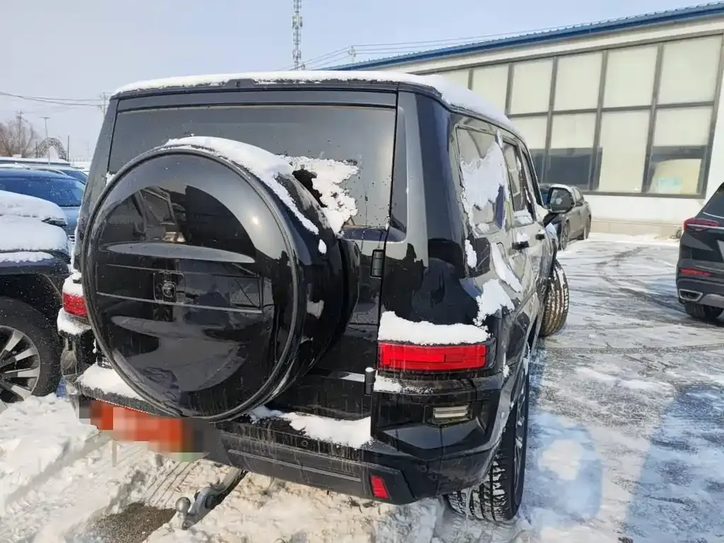 Tank 700 New Energy — фото 3