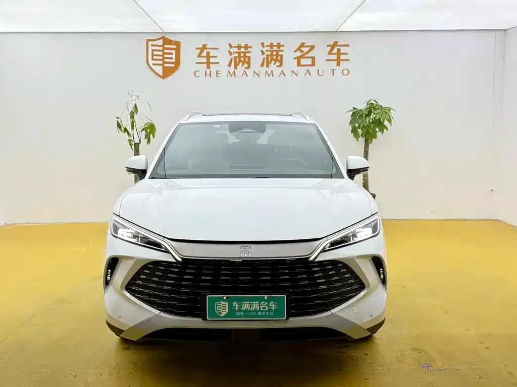 BYD L DM-i — фото 5