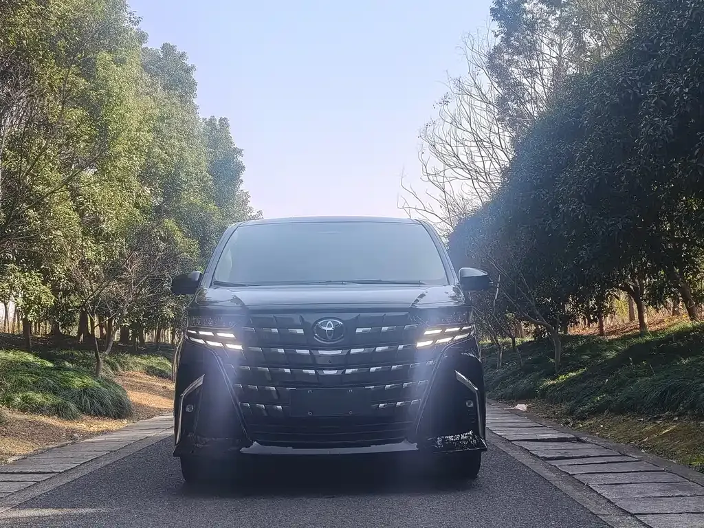 Toyota Alphard — фото 9