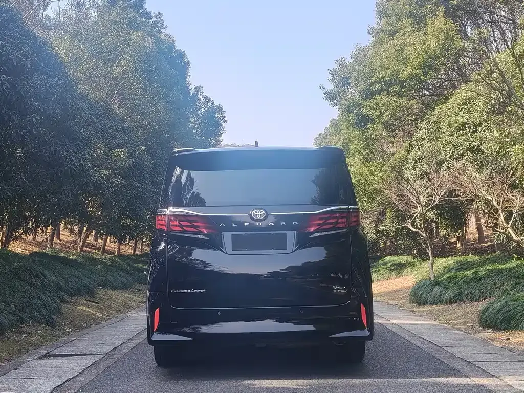 Toyota Alphard — фото 6