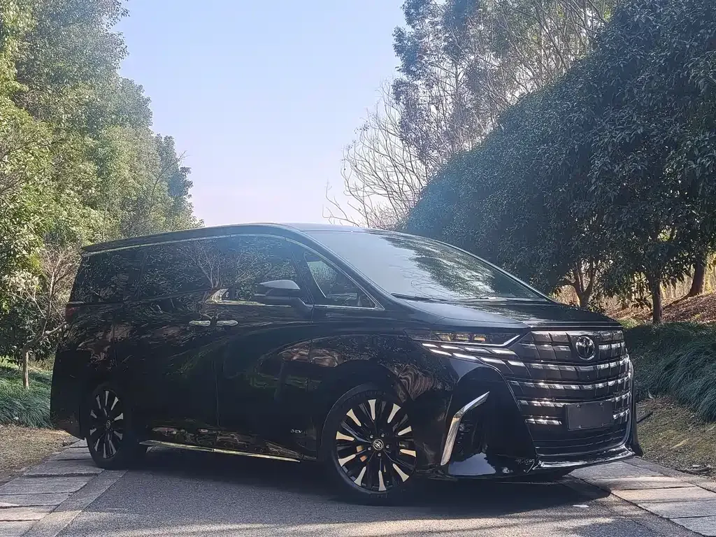 Toyota Alphard — фото 10