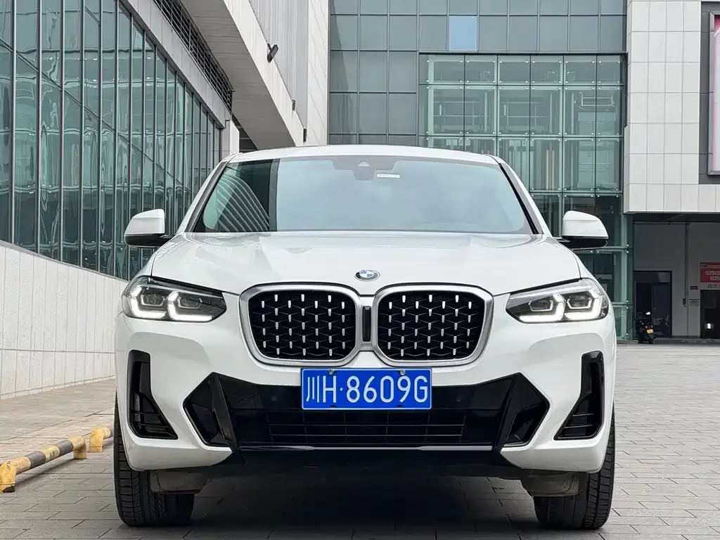 BMW X4 — фото 8