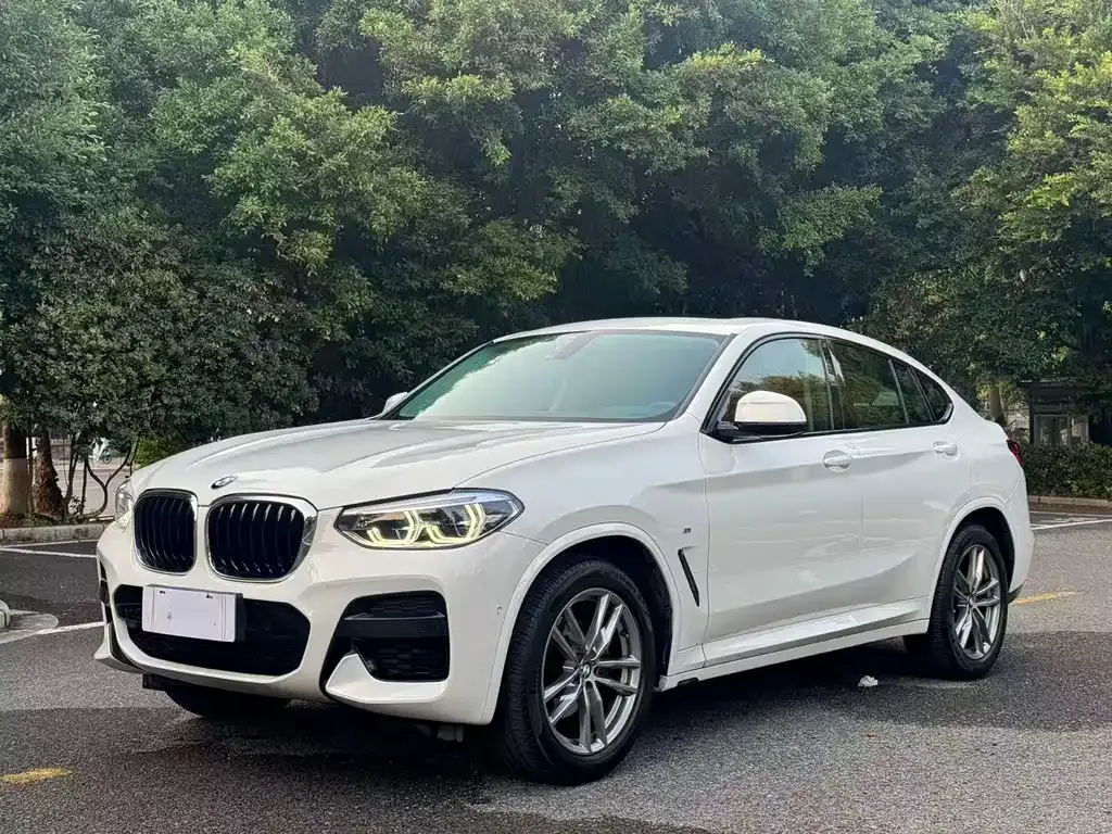 BMW X4 — фото 1