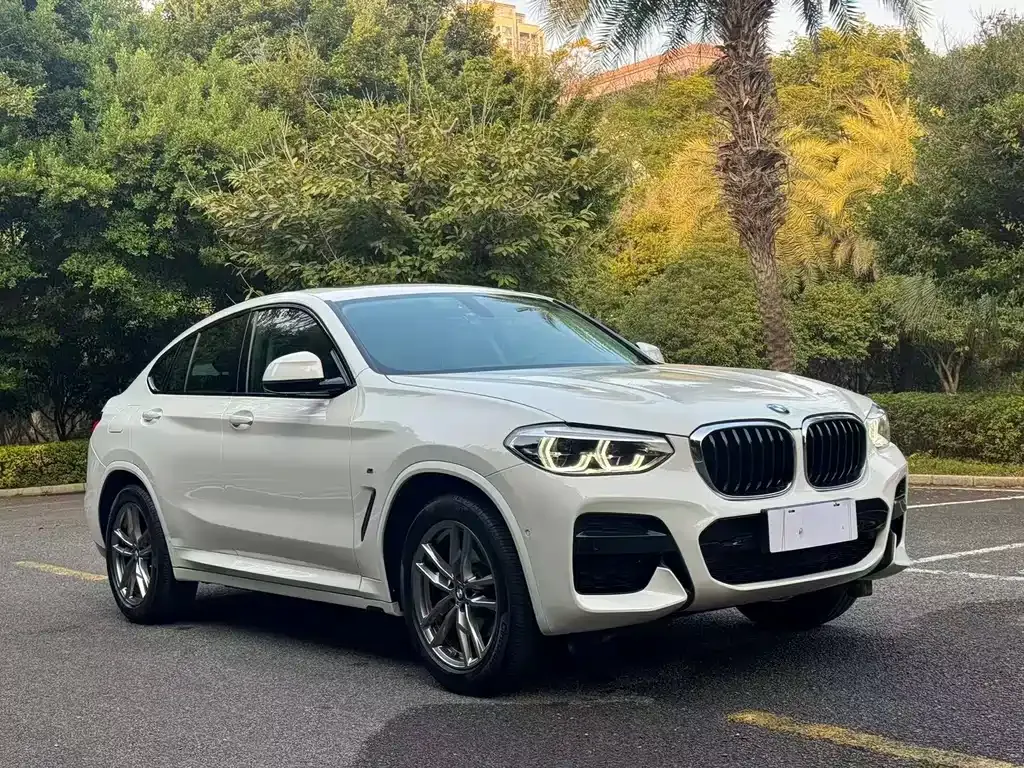 BMW X4 — фото 4