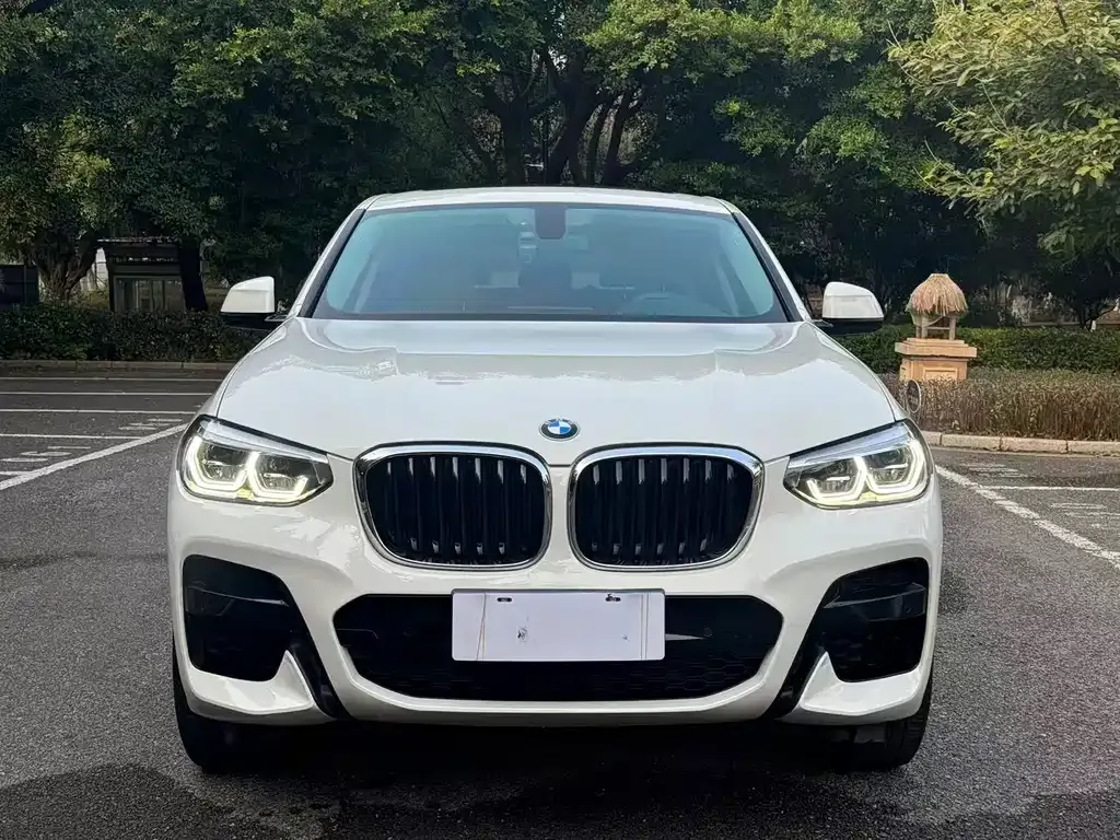 BMW X4 — фото 6