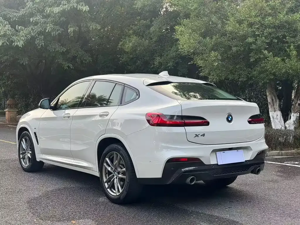 BMW X4 — фото 9