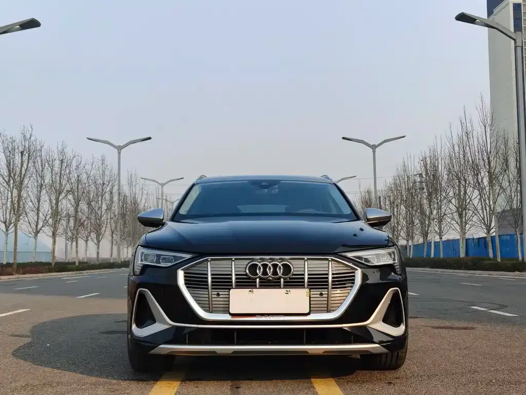 Audi e-tron — фото 3
