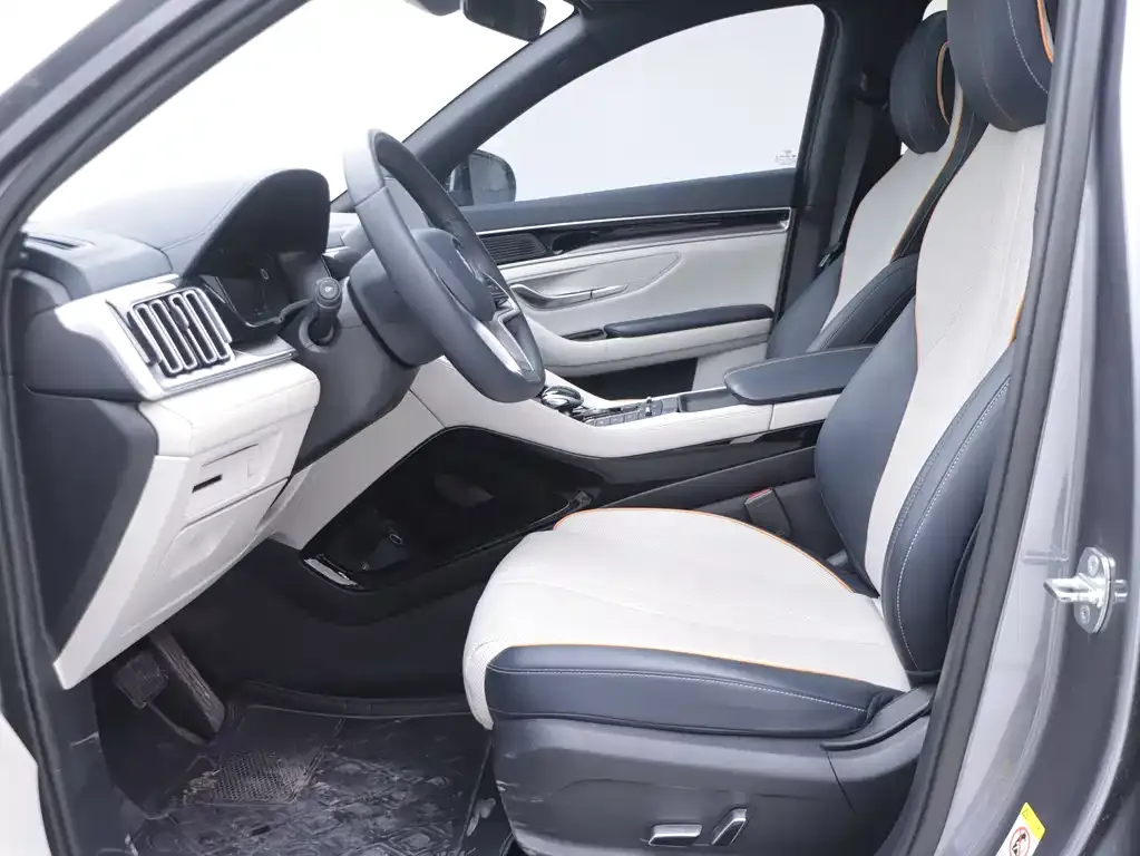 BYD PLUS New Energy — фото 10