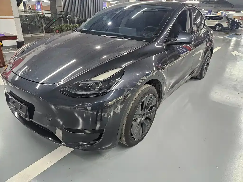 Tesla Model Y — фото 1