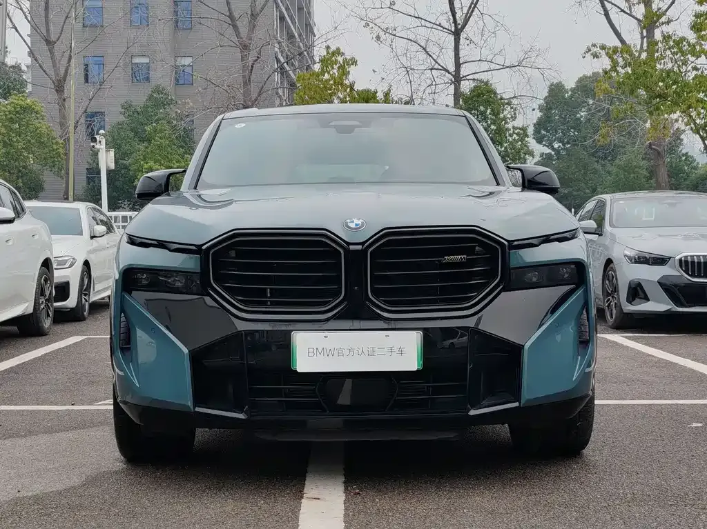 BMW XM — фото 10