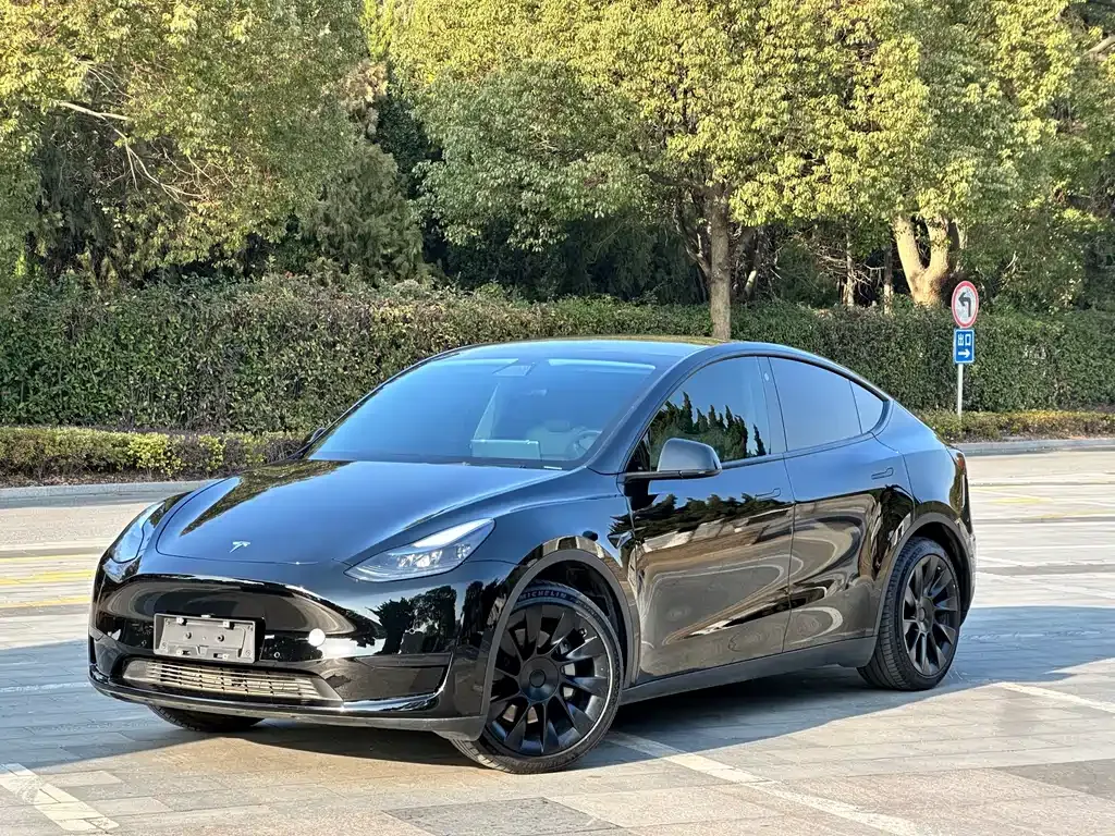 Tesla Model Y — фото 1