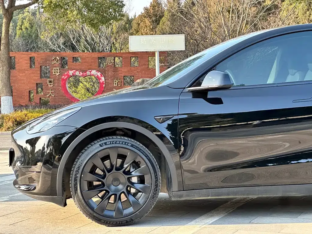 Tesla Model Y — фото 4