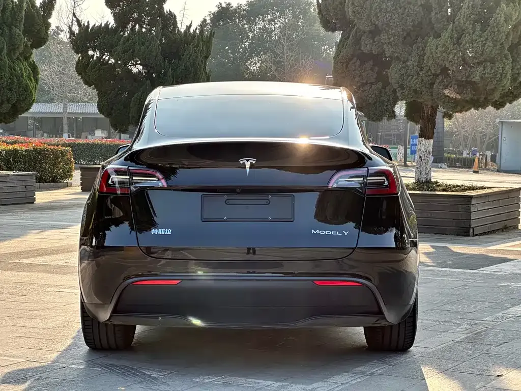 Tesla Model Y — фото 2