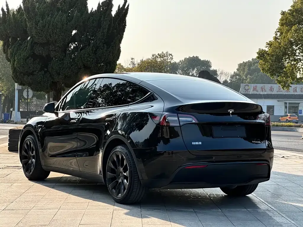 Tesla Model Y — фото 5