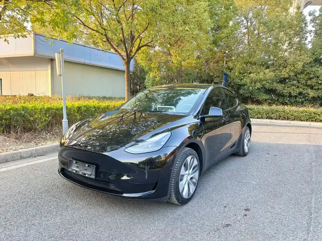 Tesla Model Y — фото 1