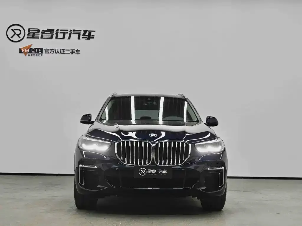 BMW X5 — фото 8