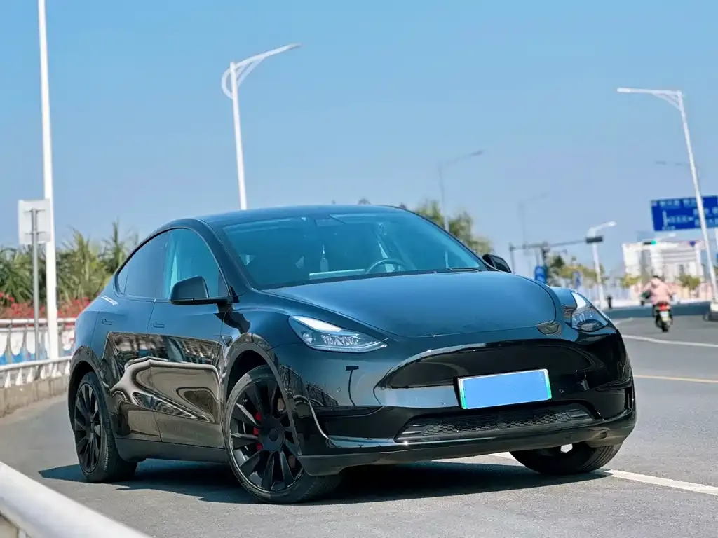 Tesla Model Y — фото 4