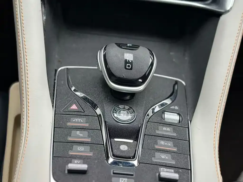BYD PLUS New Energy — фото 8