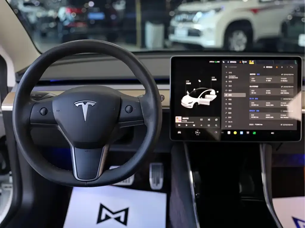 Tesla Model 3 — фото 2