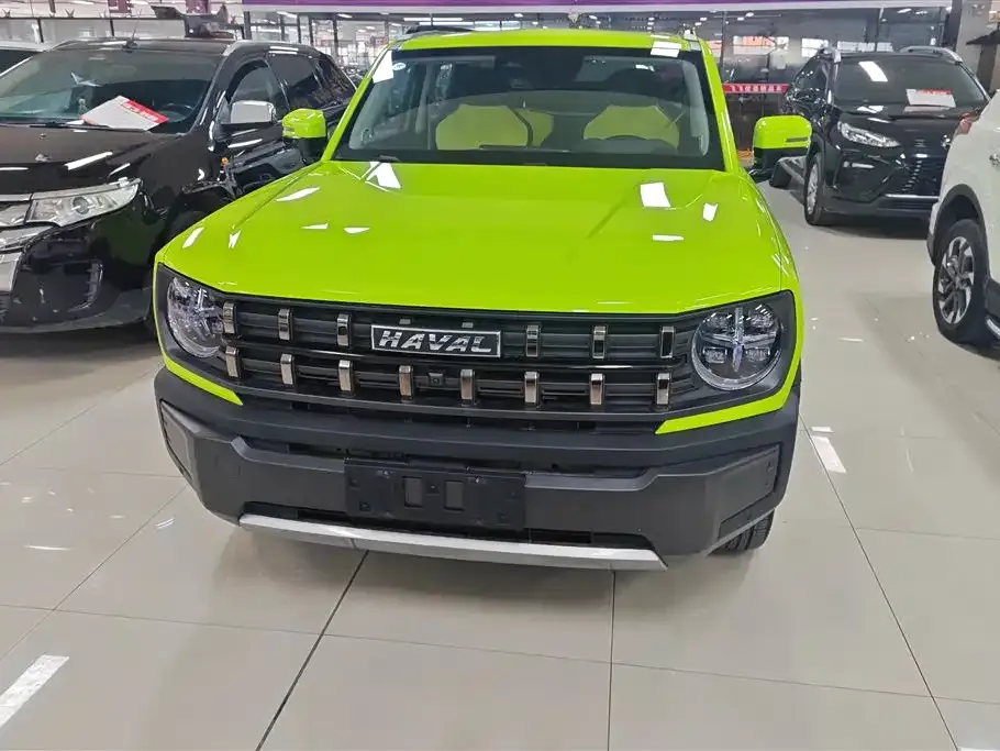 Haval Cool Dog — фото 6