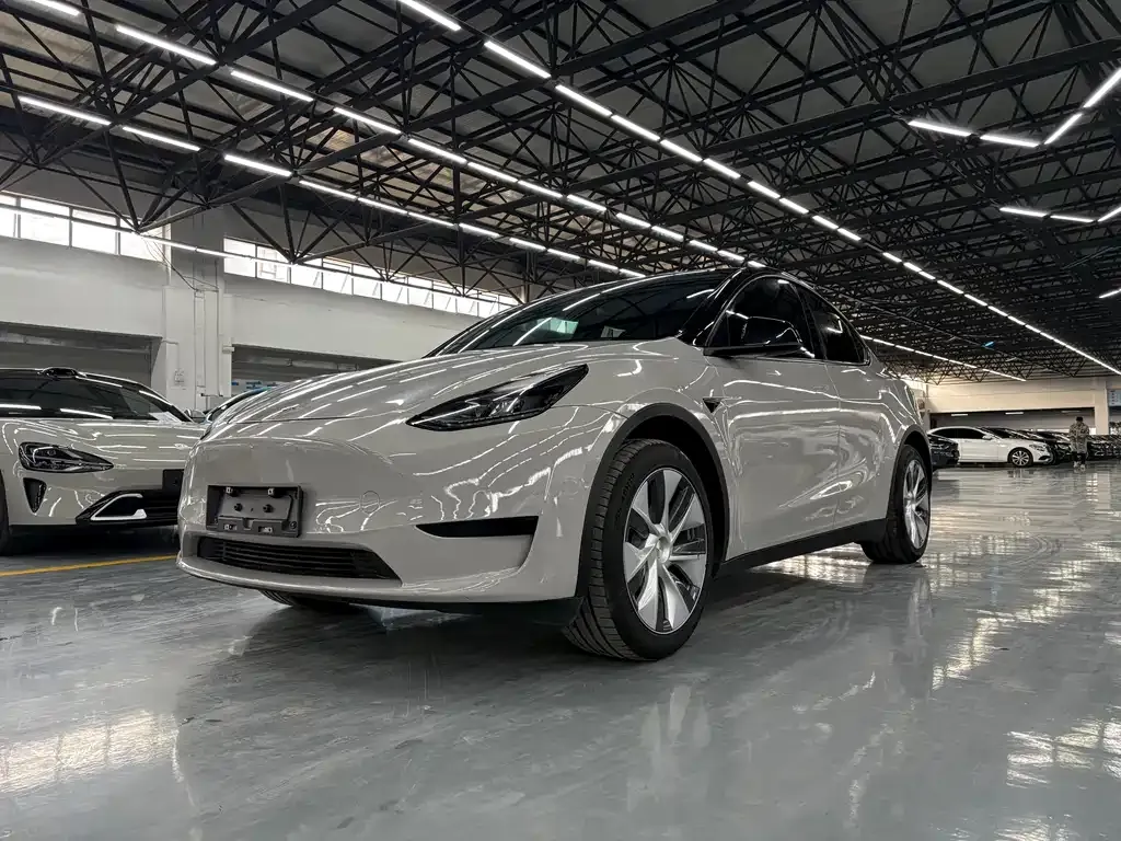 Tesla Model Y — фото 1