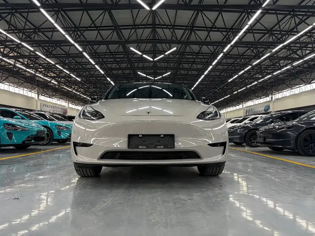 Tesla Model Y — фото 9